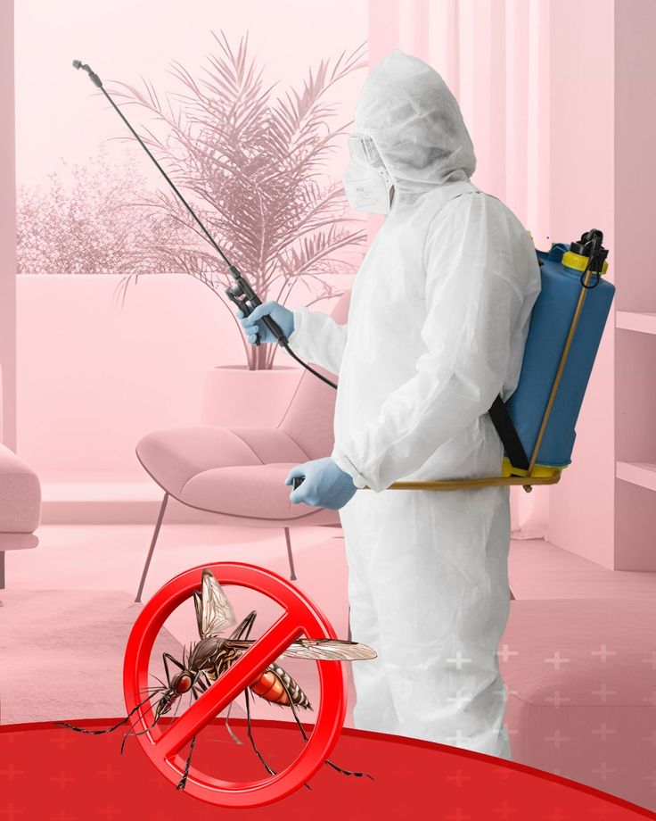 Kars profesyonel haşere ilaçlama